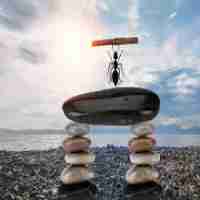 百‌度​智​能‍创‌作﻿平‌台﻿手‌机​版‍在‍哪‌儿‌找‍